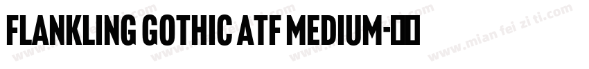 Flankling gothic ATF MEDIUM字体转换